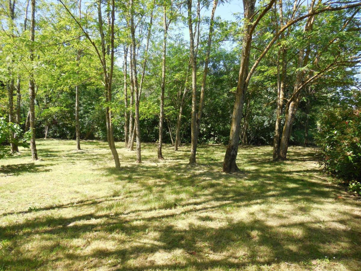 Le Chalet Bois De Celio Coux Exterior foto